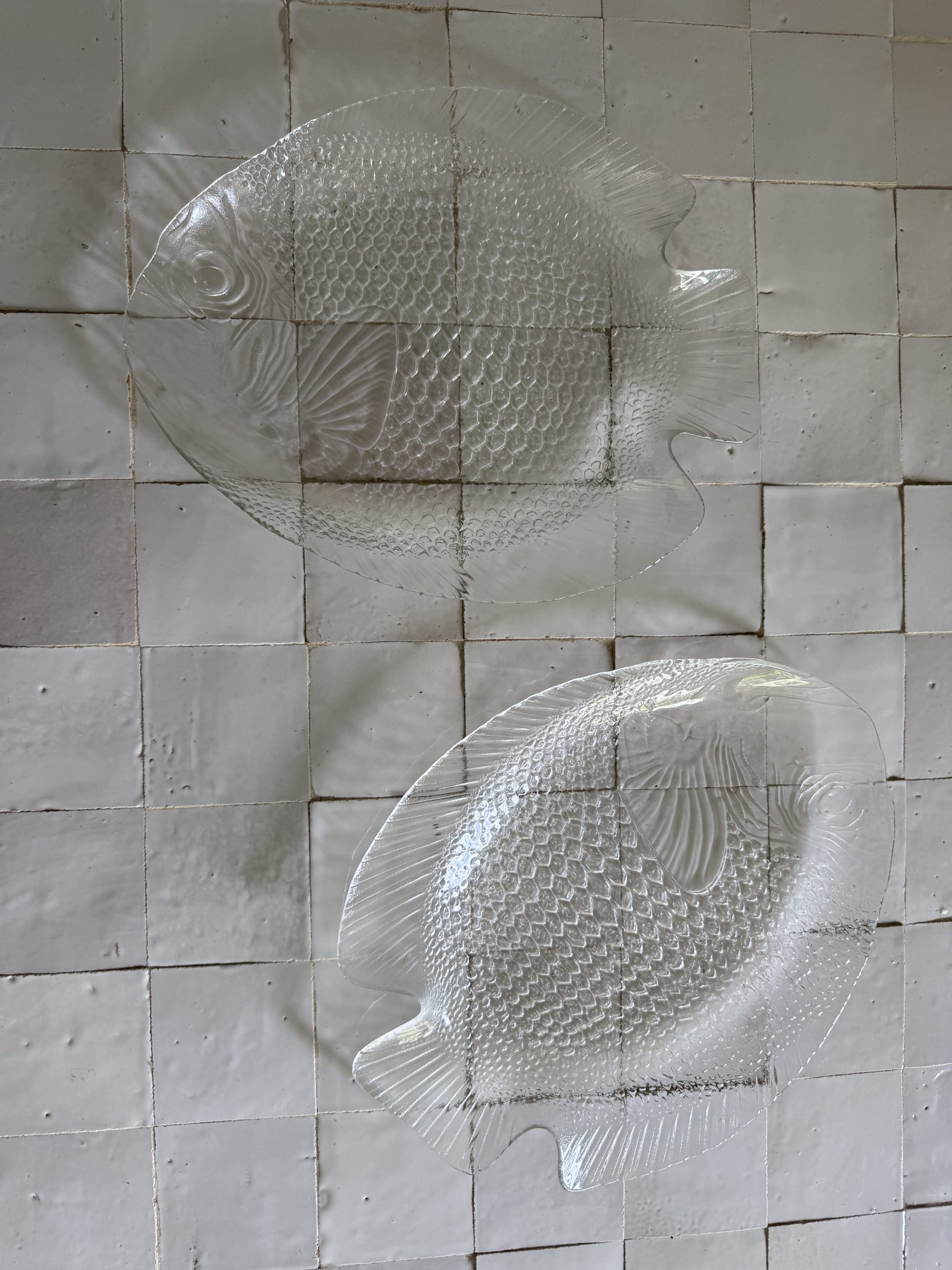 Paire de grands plats poisson en verre transparent