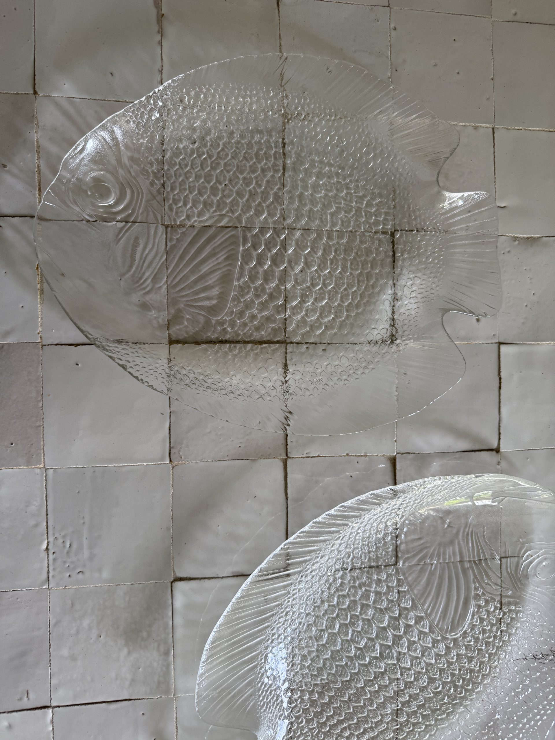 Paire de grands plats poisson en verre transparent – Image 6