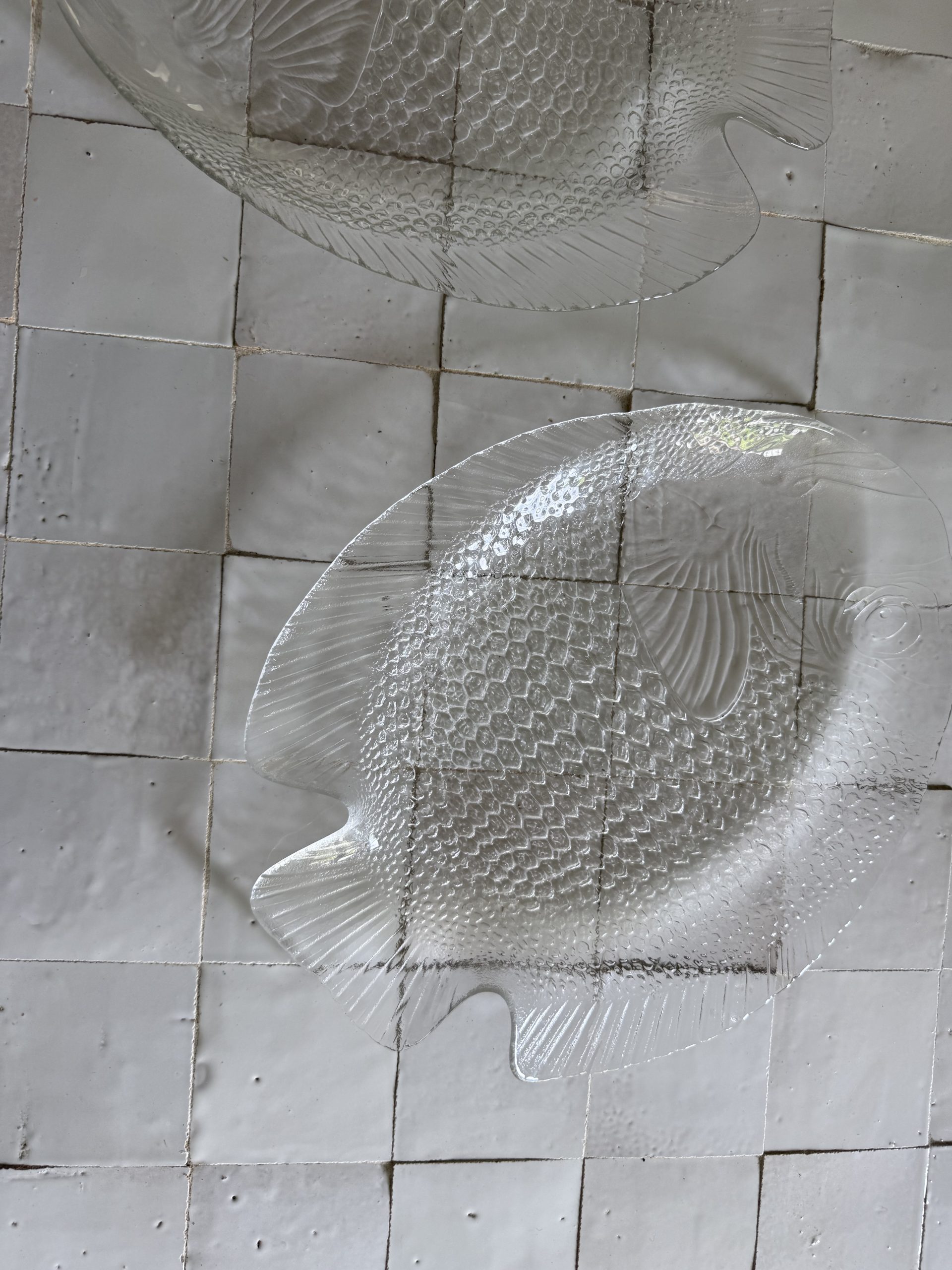 Paire de grands plats poisson en verre transparent – Image 5