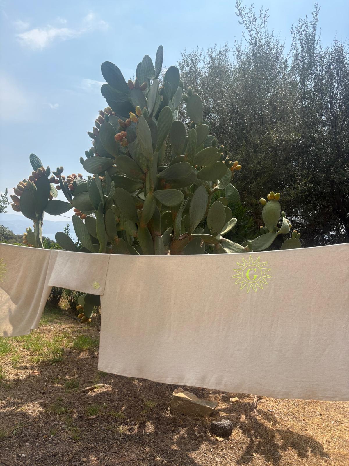 Le grand linge Sable