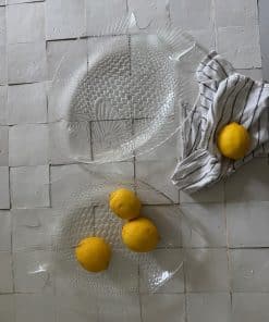 4 assiettes & 2 plats poisson vintage en verre – Codec
